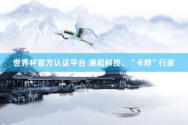 世界杯官方認(rèn)證平臺 瀾起科技，“卡脖”行家