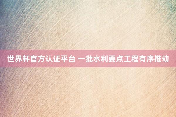 世界杯官方認證平臺 一批水利要點工程有序推動