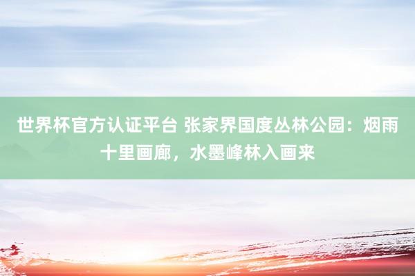 世界杯官方認(rèn)證平臺 張家界國度叢林公園：煙雨十里畫廊，水墨峰林入畫來
