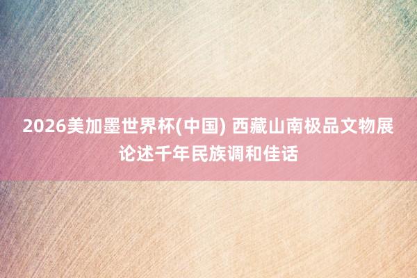 2026美加墨世界杯(中國) 西藏山南極品文物展論述千年民族調(diào)和佳話