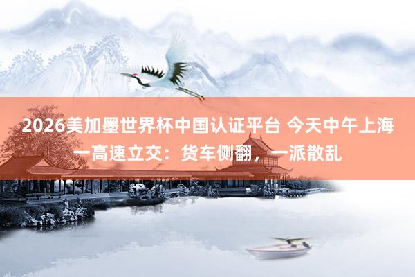 2026美加墨世界杯中國認證平臺 今天中午上海一高速立交：貨車側翻，一派散亂