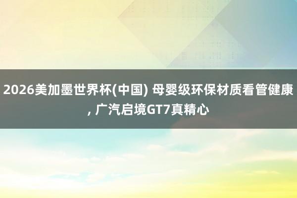 2026美加墨世界杯(中國) 母嬰級環保材質看管健康， 廣汽啟境GT7真精心