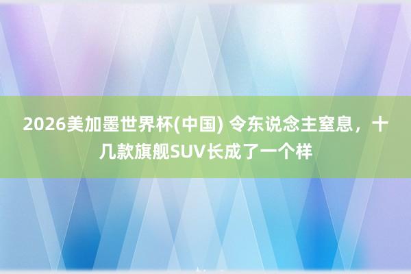 2026美加墨世界杯(中國) 令東說念主窒息，十幾款旗艦SUV長成了一個樣