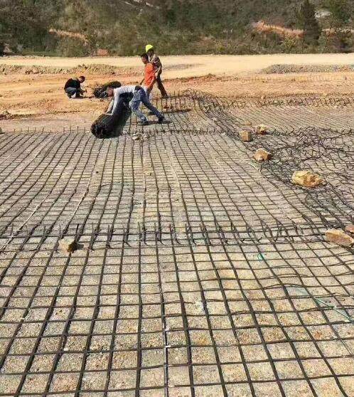 歡迎 馬鞍山16公分鋼塑土工格柵 哪里有