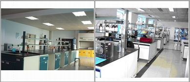 禽藥與獸藥新技術交流 以質量為核心，共筑未來獸藥發展之路